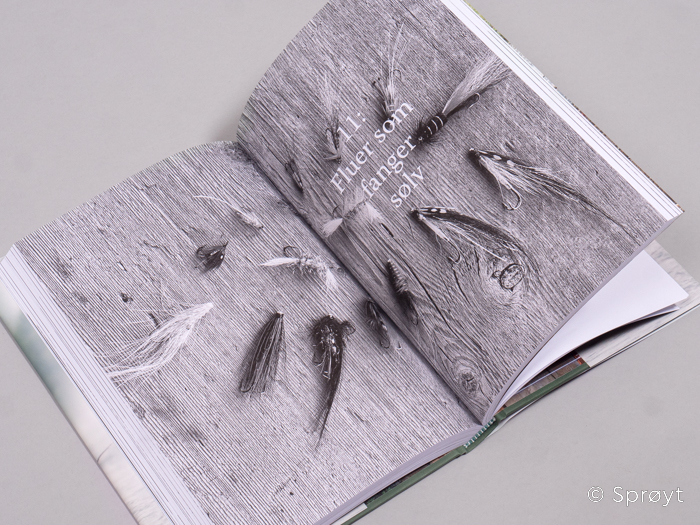 Nordisk fluefiske etter laks - fortid, nåtid, framtid - Øystein Aas - Bilde 2